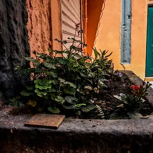 Little House , Napels Italië